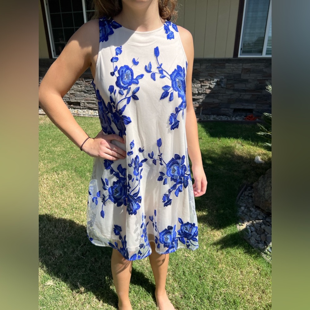 Beige by ECI Nude Blue Dress (Small)